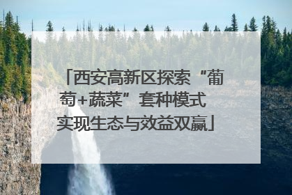 西安高新区探索“葡萄+蔬菜”套种模式 实现生态与效益双赢